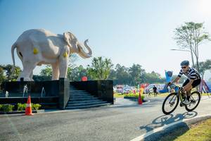 BIB: 
                            <button type="button" onclick="openModal(26183009)" class="btn btn-primary btn-sm float-right btn-popup" data-toggle="modal" data-target=".modal-high-quality">
                        <i class="fas fa-shopping-cart"></i> Add to Cart
                    </button>
                                            <button type="button" onclick="isThisMe(26183009, true)" class="btn btn-success btn-sm float-right btn-popup btn-isme hidden" data-toggle="tooltip" data-placement="bottom" title="นี่คือรูปของคุณใช่ไหม คลิกที่นี่เพื่อเอาเข้าอัลบั้ม">
                        <i class="fas fa-plus"></i> Add to album
                    </button>
                    <button type="button" onclick="isThisMe(26183009, false)" class="btn btn-warning btn-sm float-right btn-popup btn-isnotme hidden">
                        <i class="fas fa-ban"></i> Remove from album
                    </button>